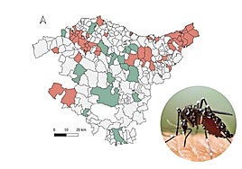 Osakidetza controla el mosquito tigre en 93 zonas de Euskadi