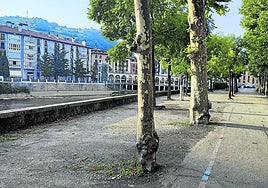 Los coches desaparecerán del Prado Pequeño de acuerdo a las conclusiones del plan de aparcamiento