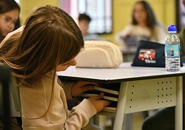 Una alumna revisa sus libros de texto.