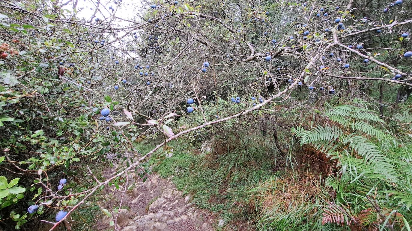 Besaide: el enclave que reúne los límites de Gipuzkoa, Bizkaia y Araba