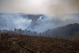 El incendio que afectó a Aiako Harriak enfebrero de 2021 ha sido el más devastadorde la última década en Gipuzkoa.