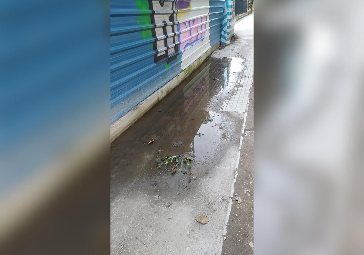 El charco perpetuo y olor nauseabundo