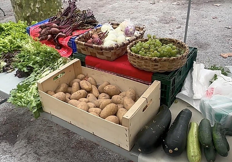 Hondarribiko Baserritar egunaren laburpen txikia