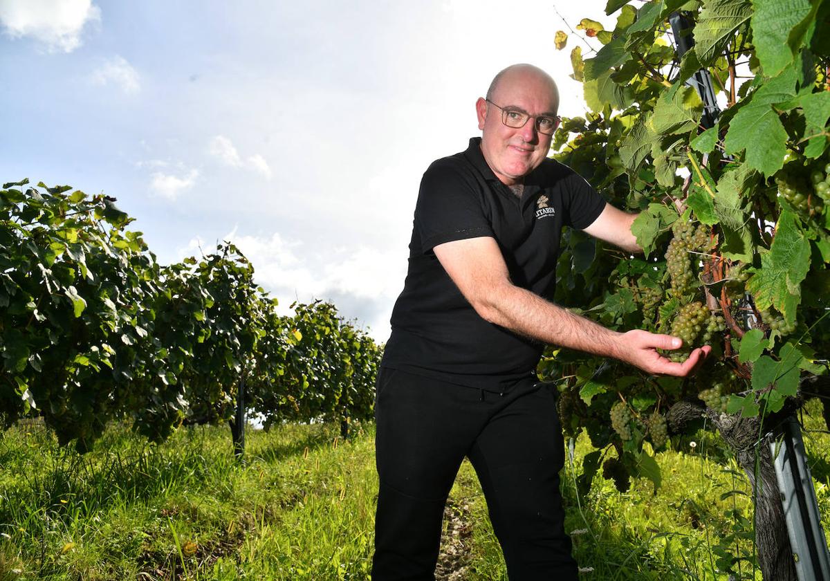 Jon Eizagirre junto a un racimo de uvas de los viñedos de la bodega Aitaren en Zestoa.