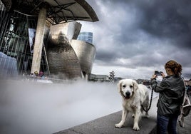 Los dueños de perros tendrán que limpiar la orina de las aceras en Bilbao