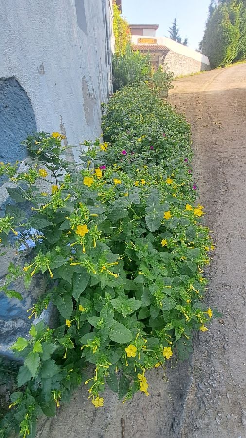 Marcha a Komizargaina por una buena causa