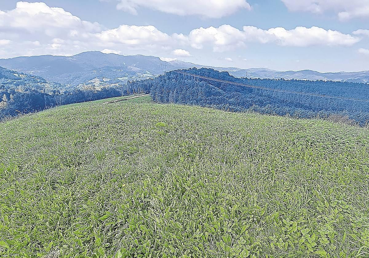 La estampa de Hernio al fondo con Gazume y otros muchos montes al lado, espectacular.