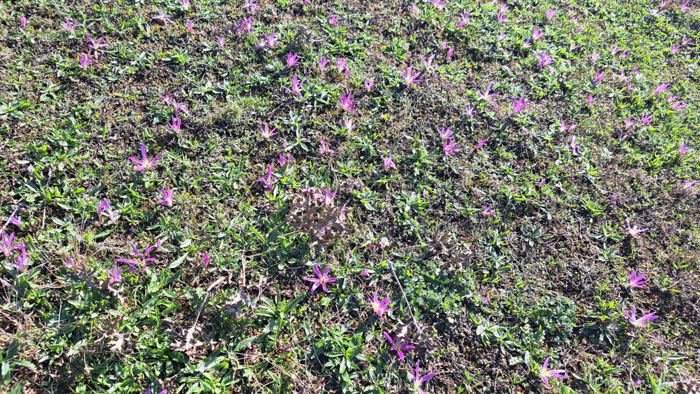 Ruta a la cima de Artxueta