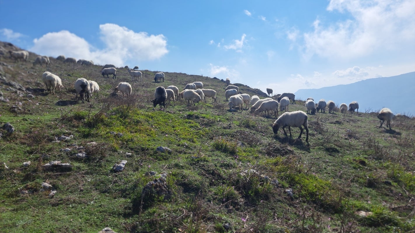 Ruta a la cima de Artxueta