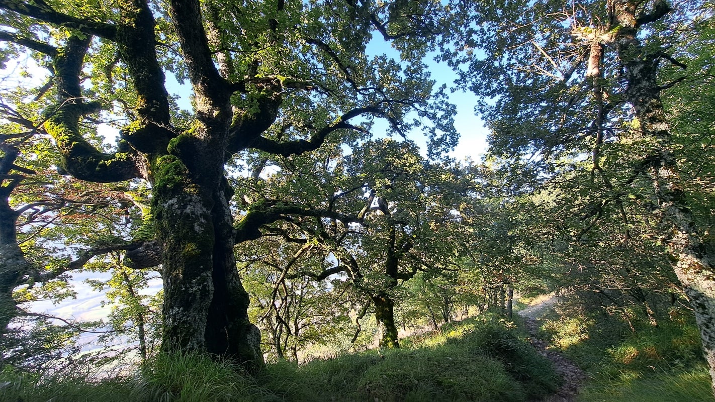 Ruta a la cima de Artxueta