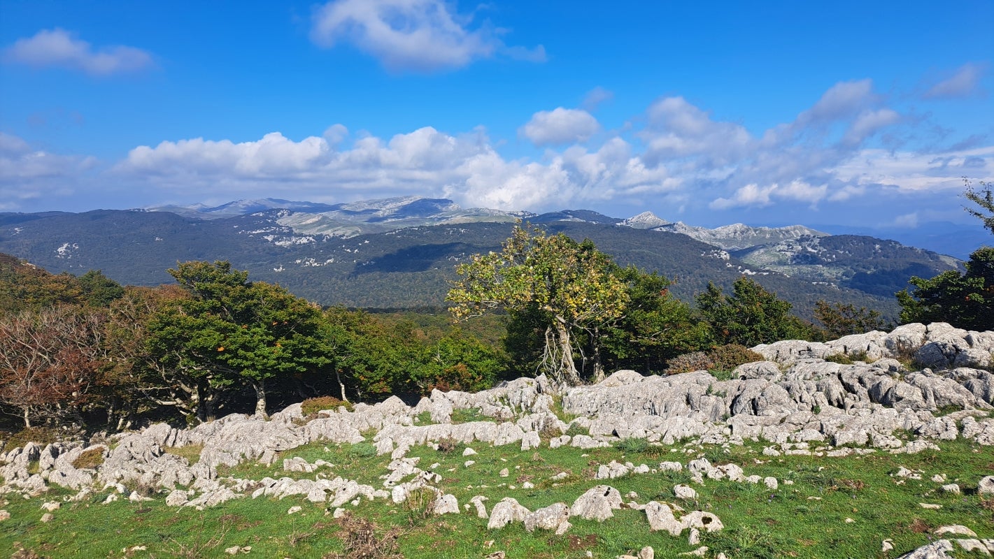 Ruta a la cima de Artxueta