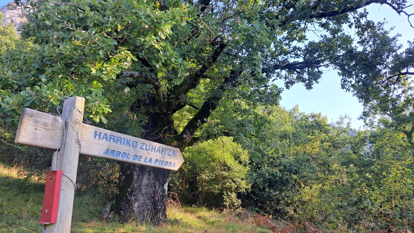 Ruta a la cima de Artxueta