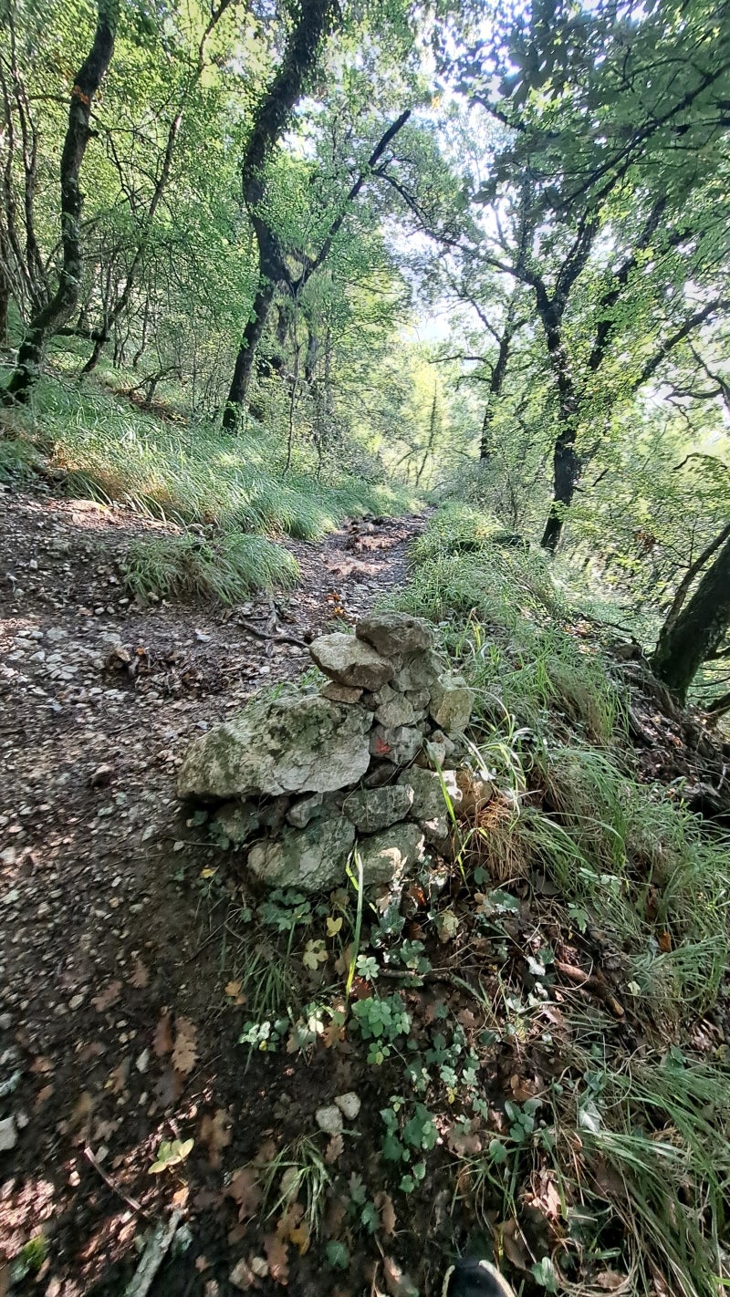 Ruta a la cima de Artxueta