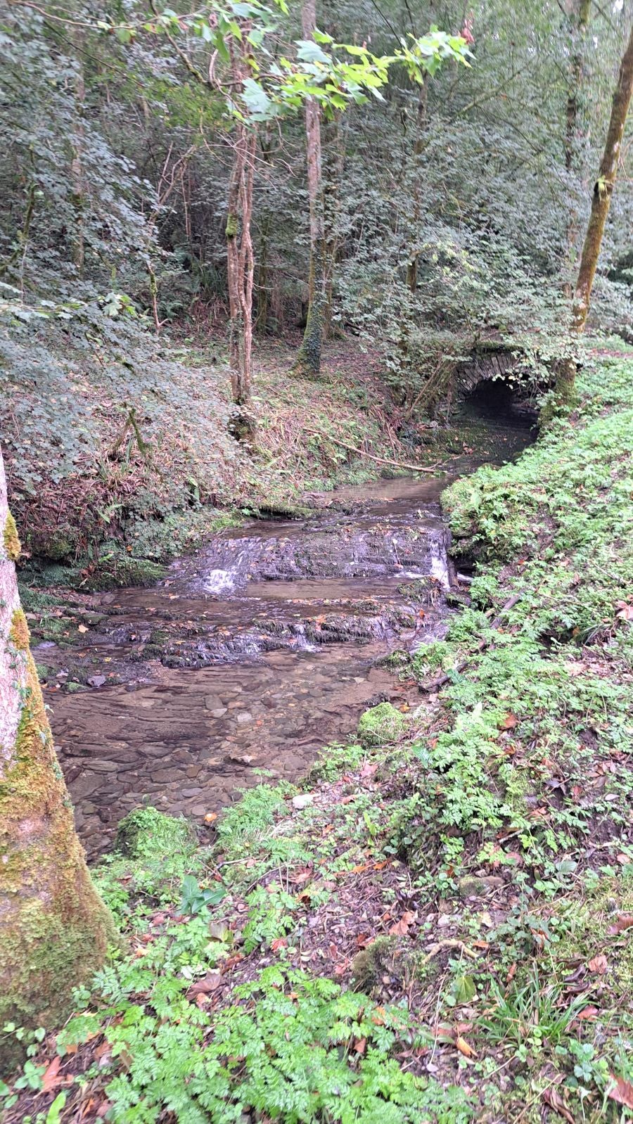 Pagoeta: un paraíso natural