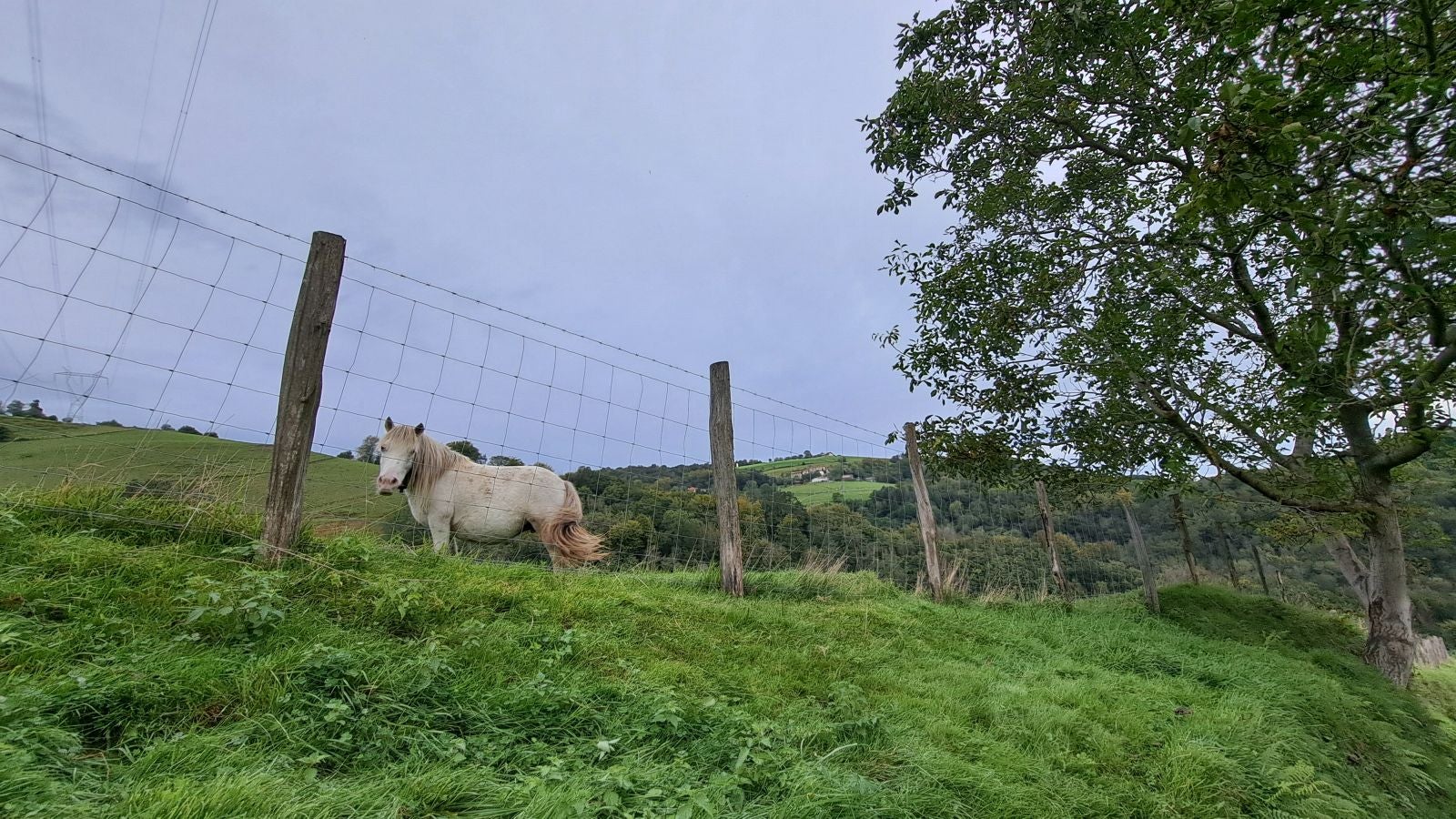 Pagoeta: un paraíso natural