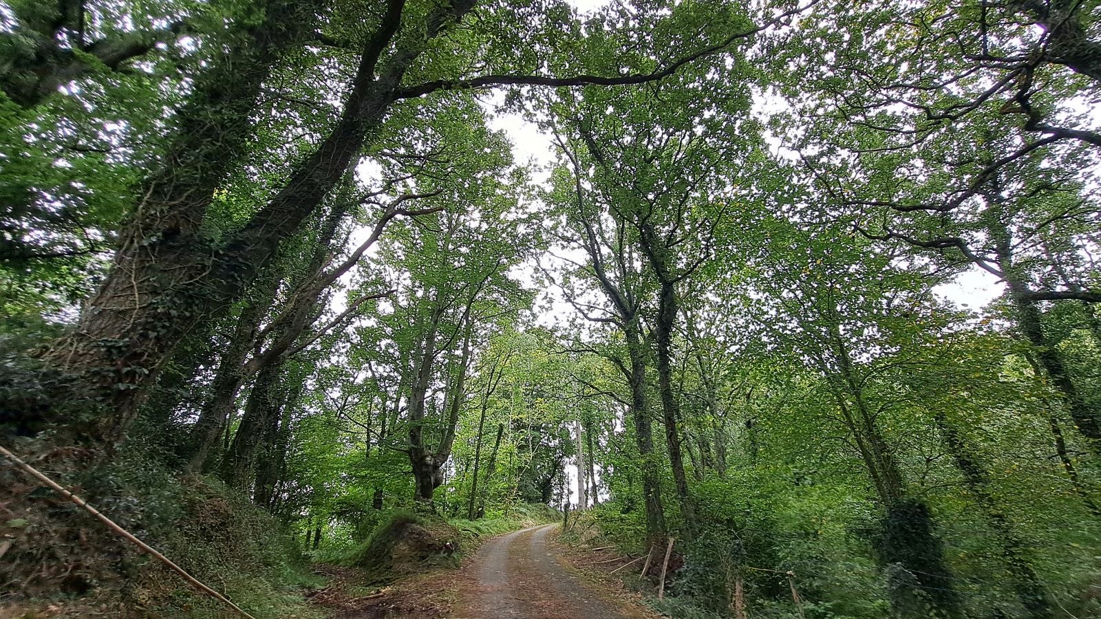 Pagoeta: un paraíso natural