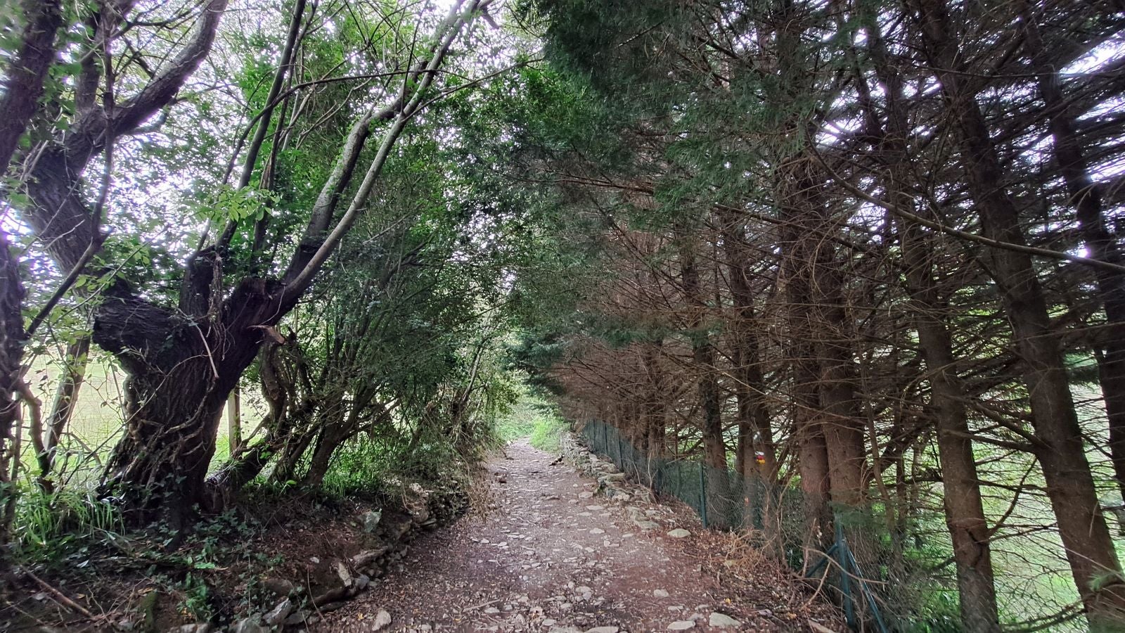 Pagoeta: un paraíso natural