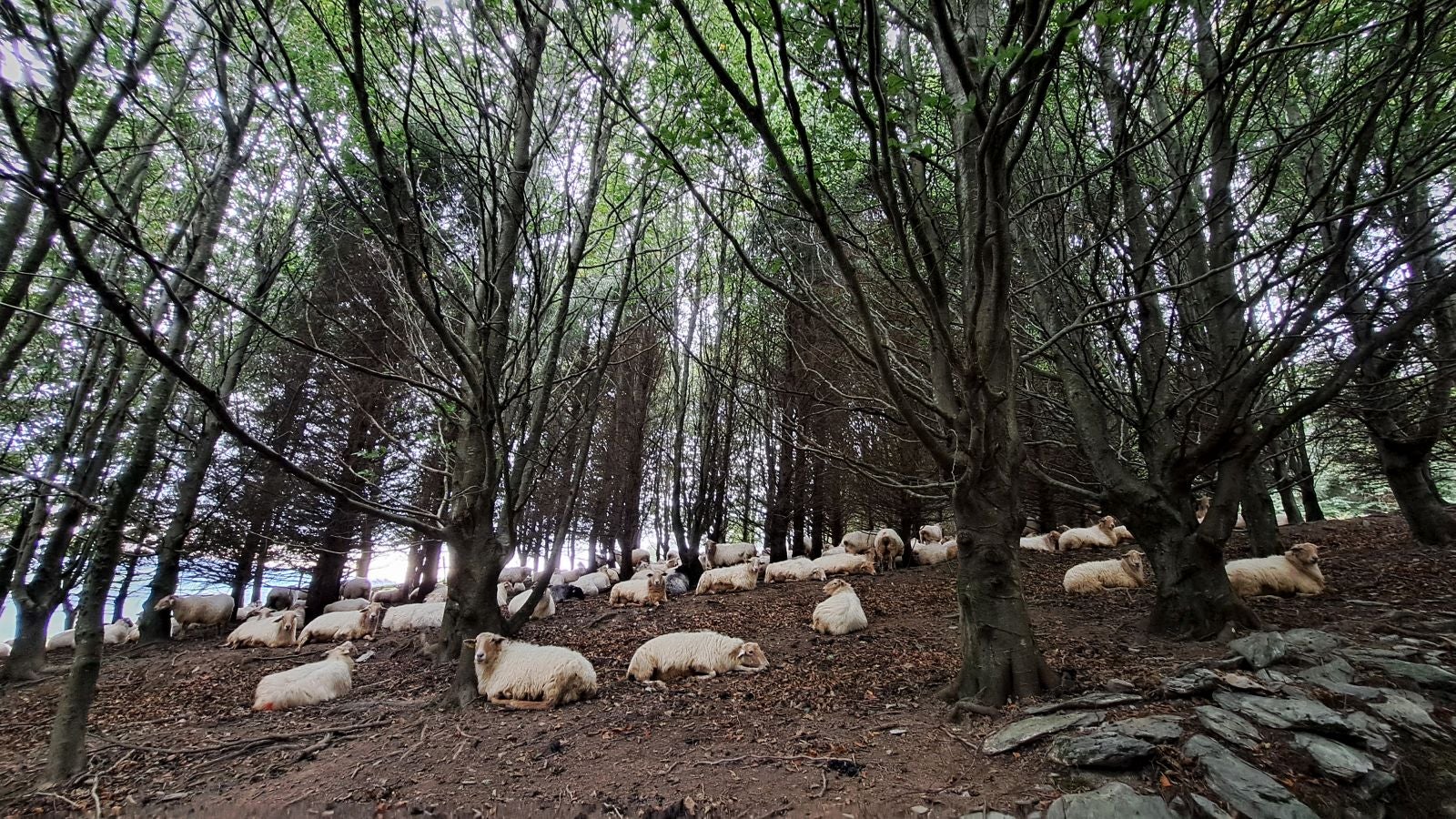 Pagoeta: un paraíso natural