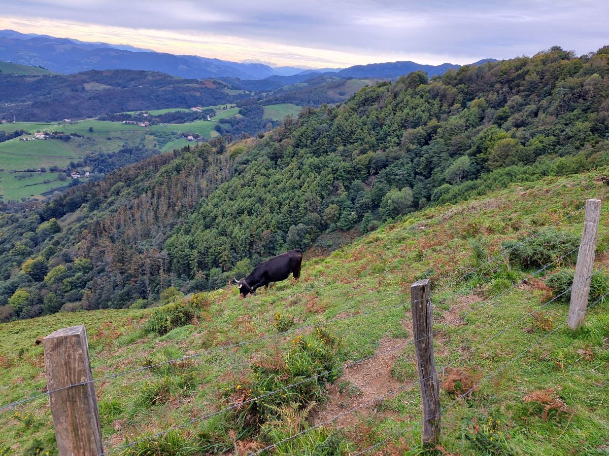 Pagoeta: un paraíso natural