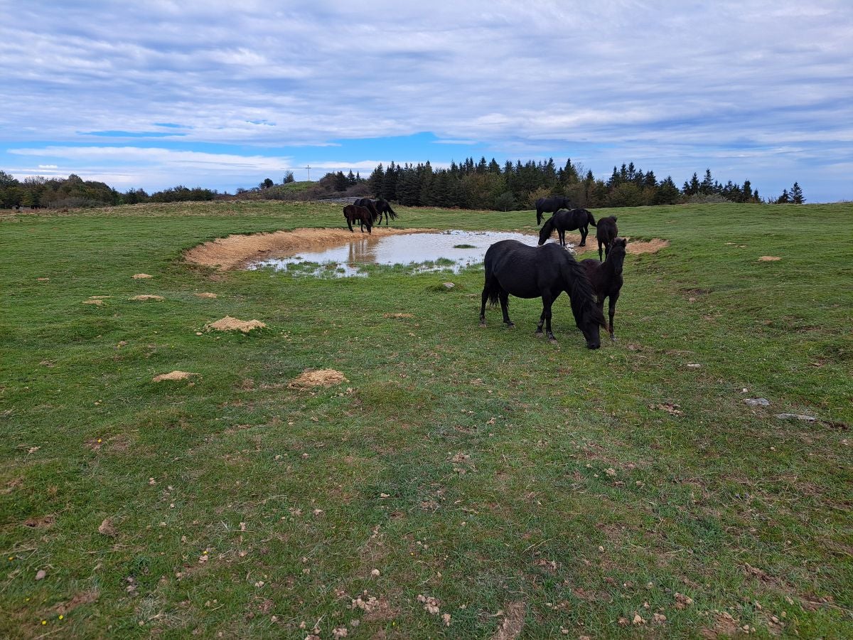 Pagoeta: un paraíso natural
