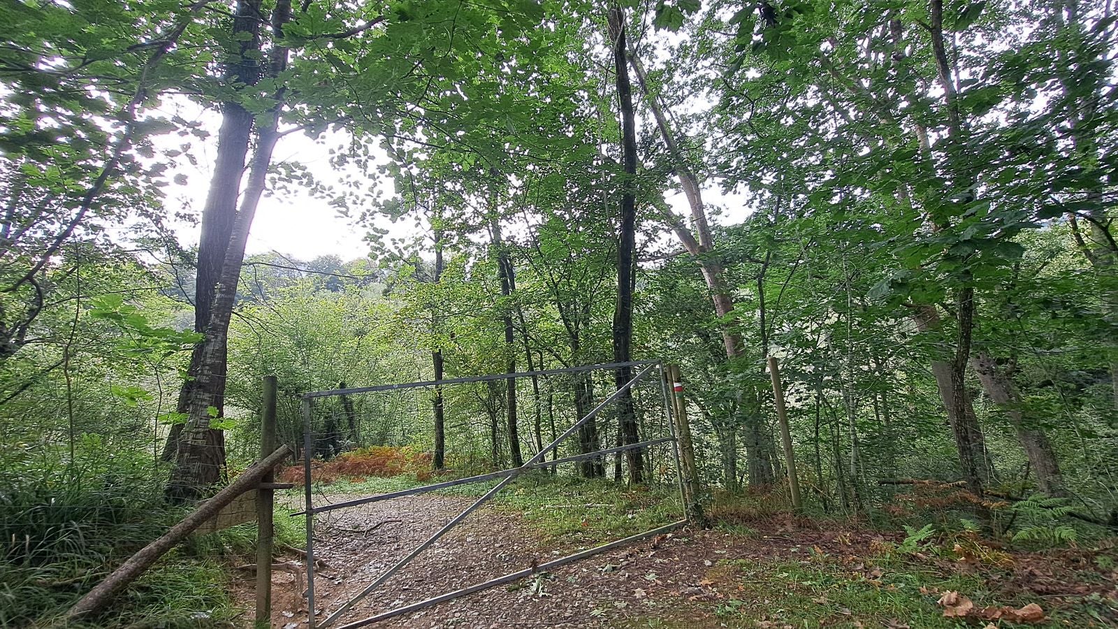 Pagoeta: un paraíso natural