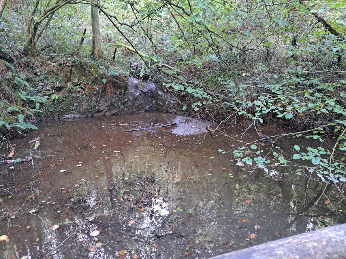 Pagoeta: un paraíso natural