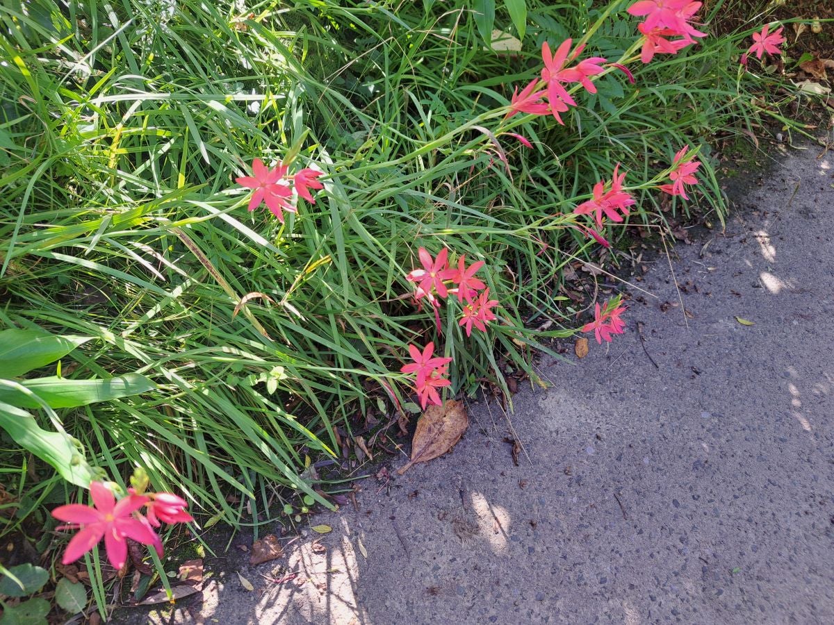 Pagoeta: un paraíso natural