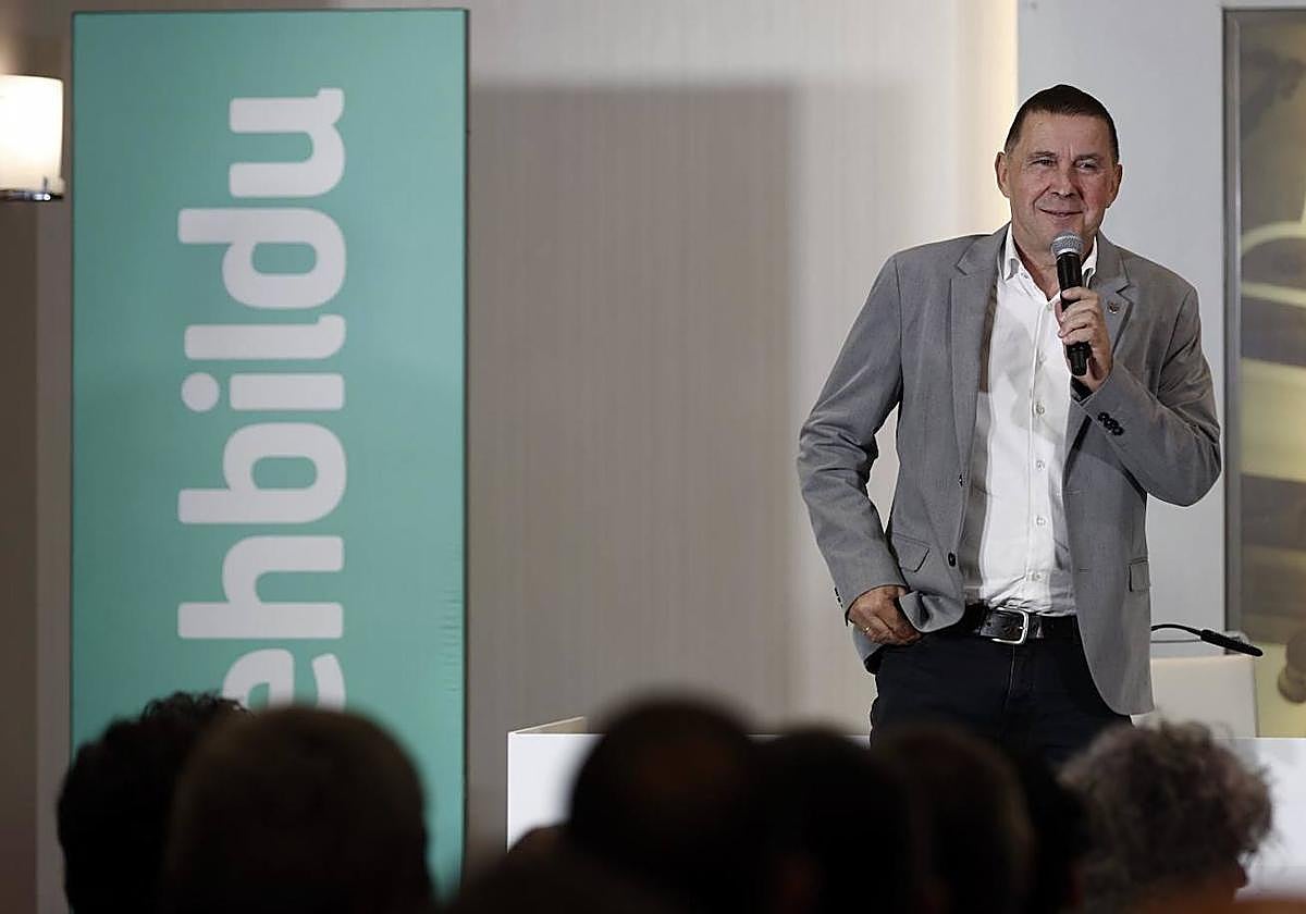 El coordinador general de EH Bildu, este sábado en Pamplona.