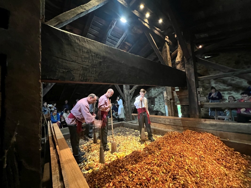 Arranca la &#039;Sagardo Astea&#039; en el caserío Igartubeiti