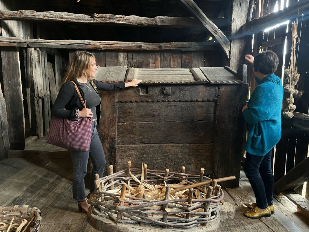 Arranca la &#039;Sagardo Astea&#039; en el caserío Igartubeiti