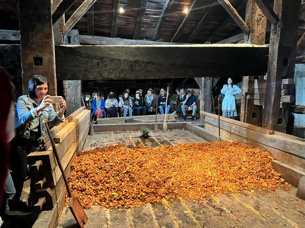 Arranca la &#039;Sagardo Astea&#039; en el caserío Igartubeiti