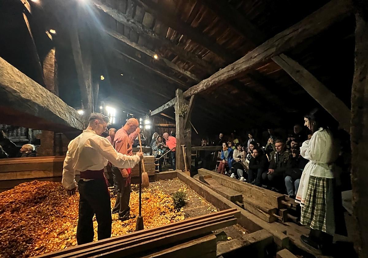 Arranca la &#039;Sagardo Astea&#039; en el caserío Igartubeiti