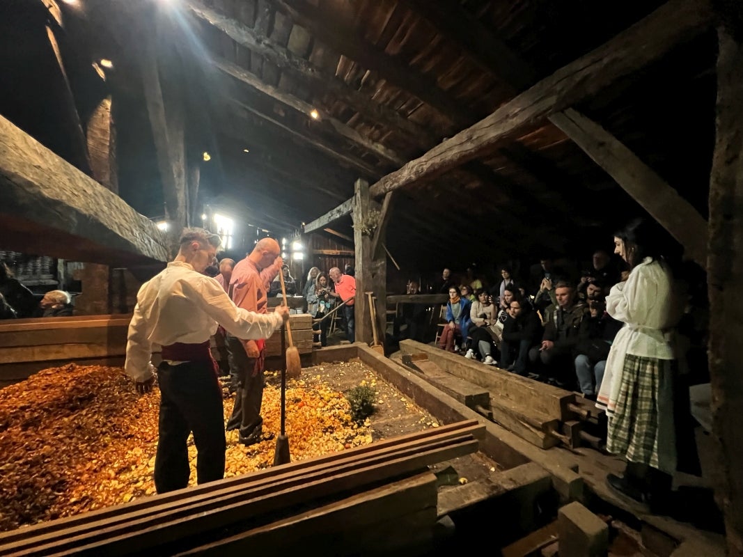 Arranca la &#039;Sagardo Astea&#039; en el caserío Igartubeiti
