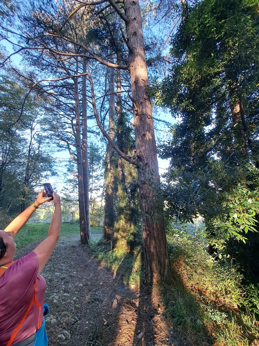 Visitamos Agerreburu, el mirador de Santa Bárbara