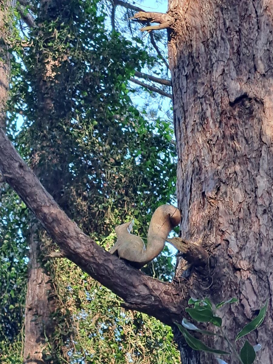 Visitamos Agerreburu, el mirador de Santa Bárbara