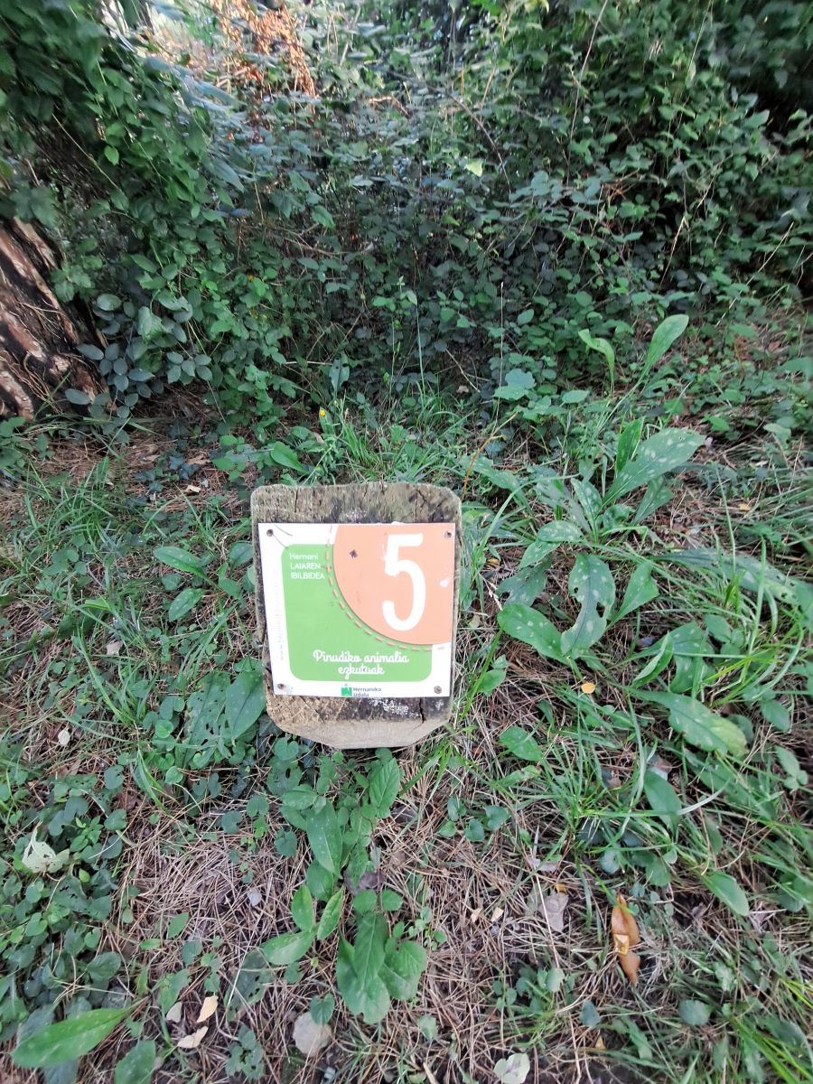 Visitamos Agerreburu, el mirador de Santa Bárbara