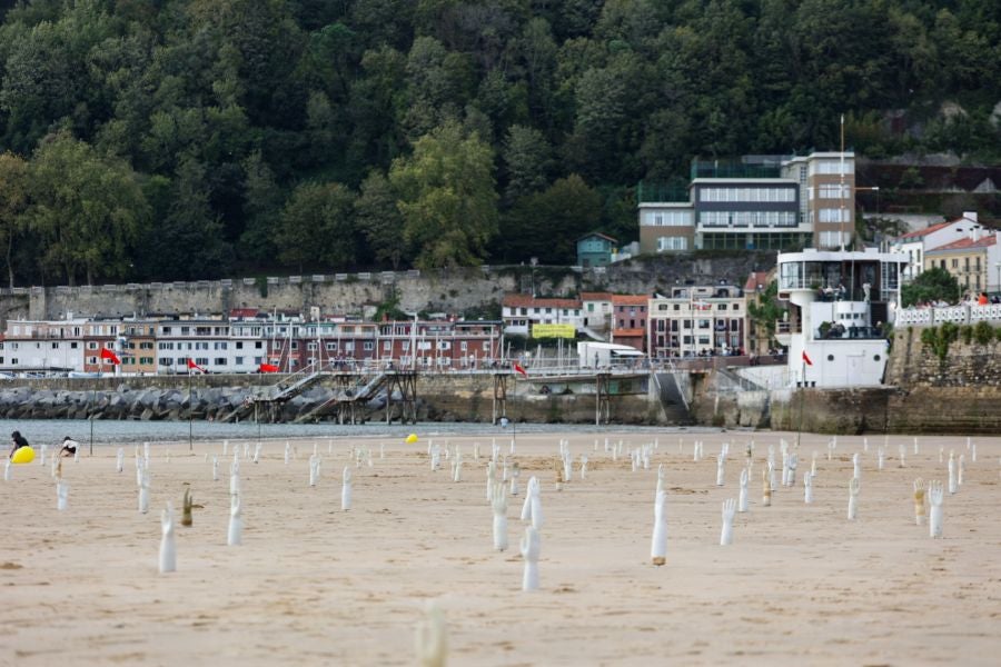 Una instalación para que no olvidemos