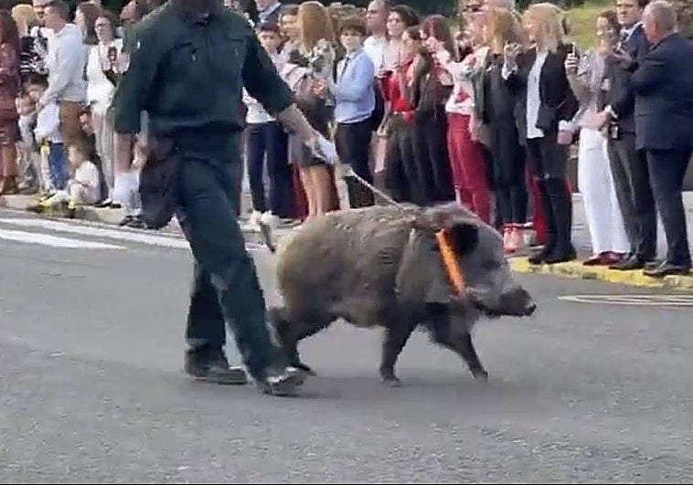 Una imagen de Basati durante el desfile.