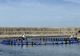 La primera de las jaulas fue arrastrada ayer mar adentro por un remolcador desde el puerto de Orio a Getaria