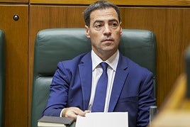 El lehendakari, Imanol Pradales, este jueves en el Parlamento Vasco.