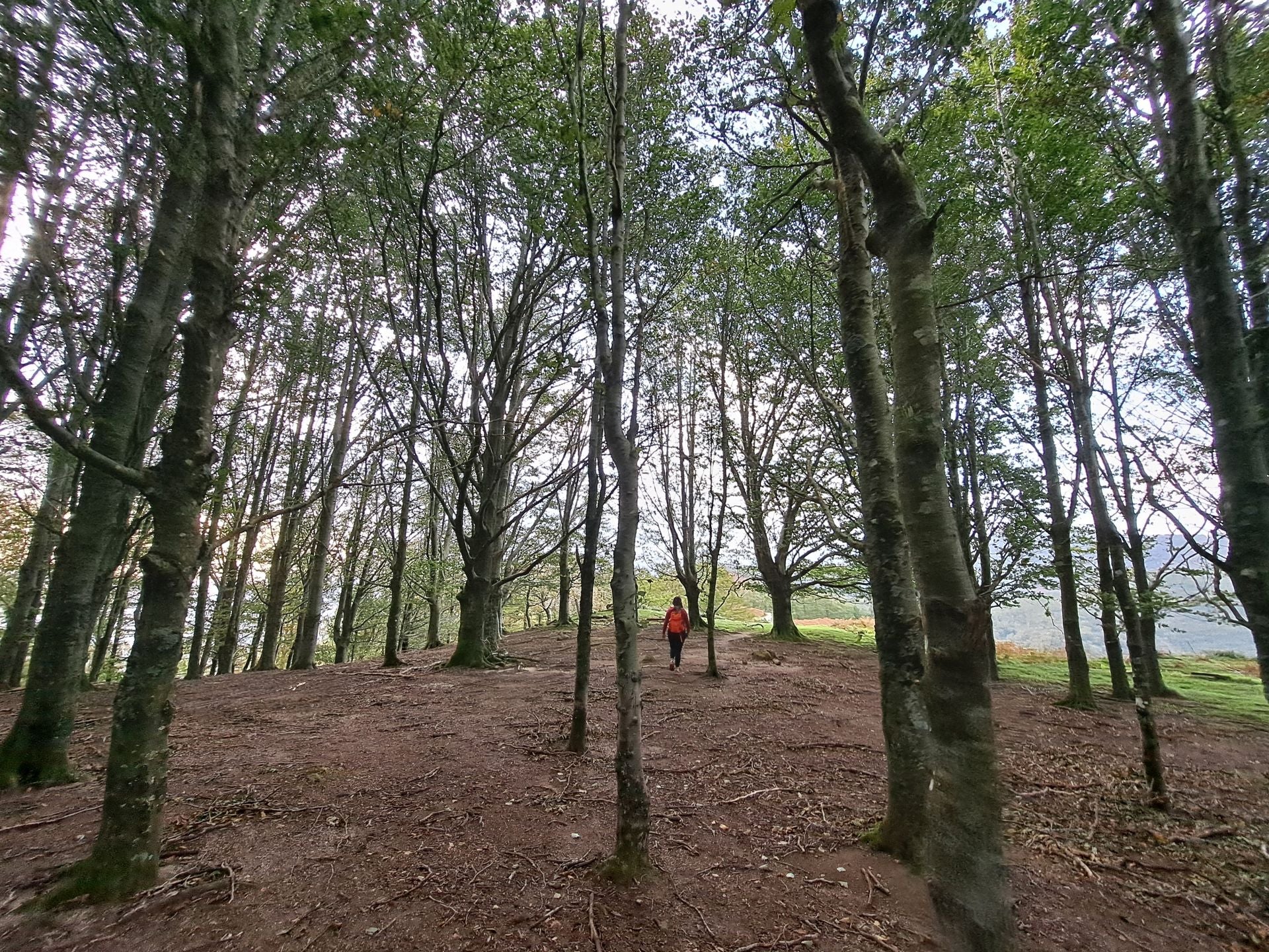 Las mejores imágenes de la ruta a Agiña