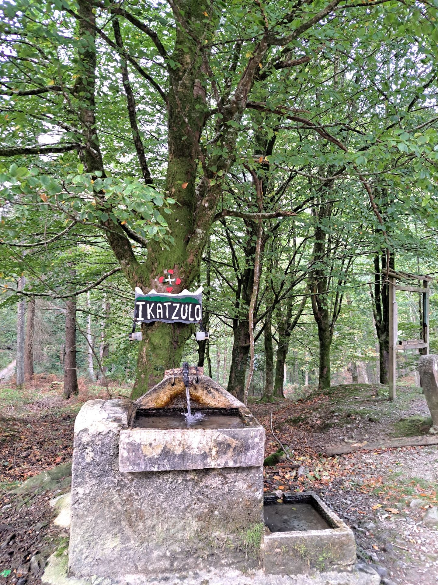 Las mejores imágenes de la ruta a Agiña