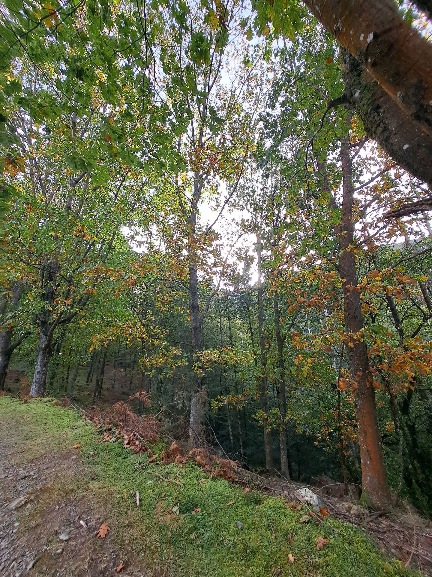 Las mejores imágenes de la ruta a Agiña
