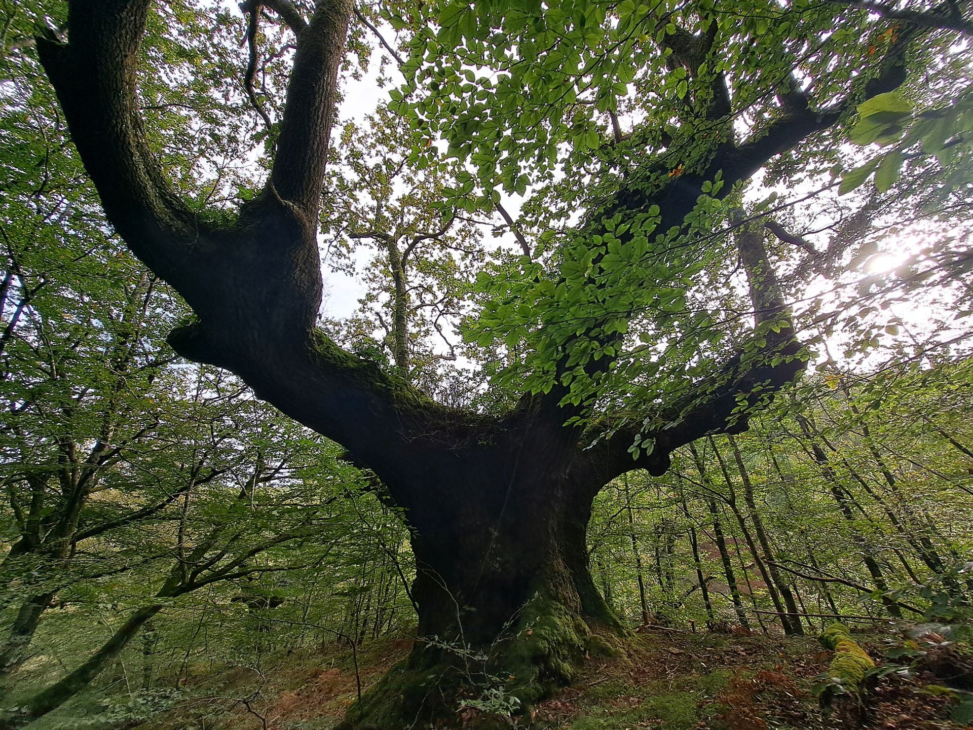 Las mejores imágenes de la ruta a Agiña