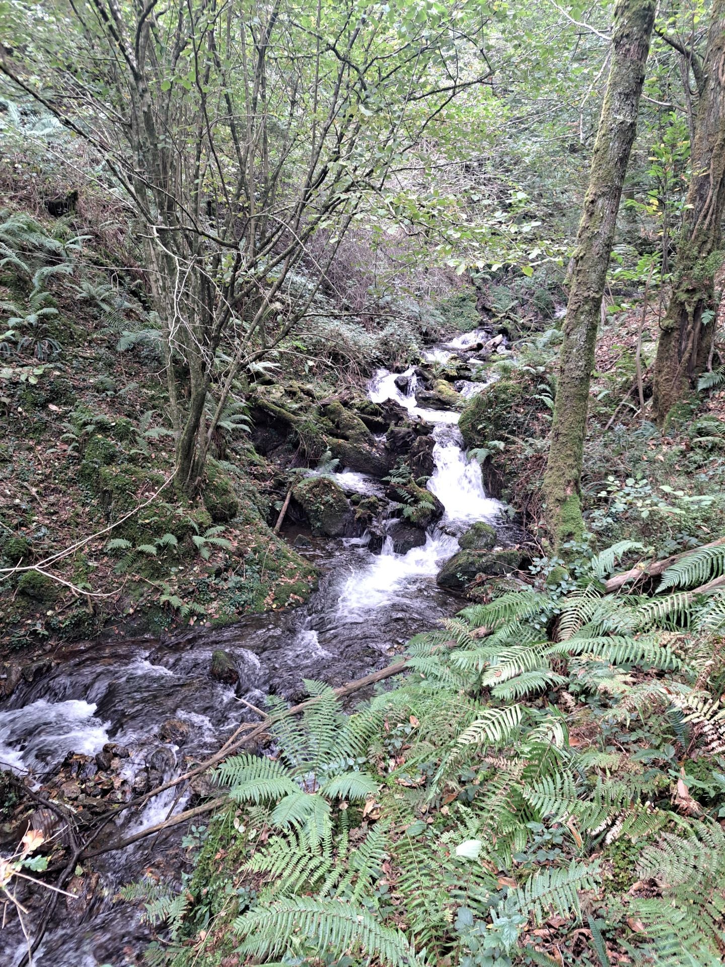 Las mejores imágenes de la ruta a Agiña