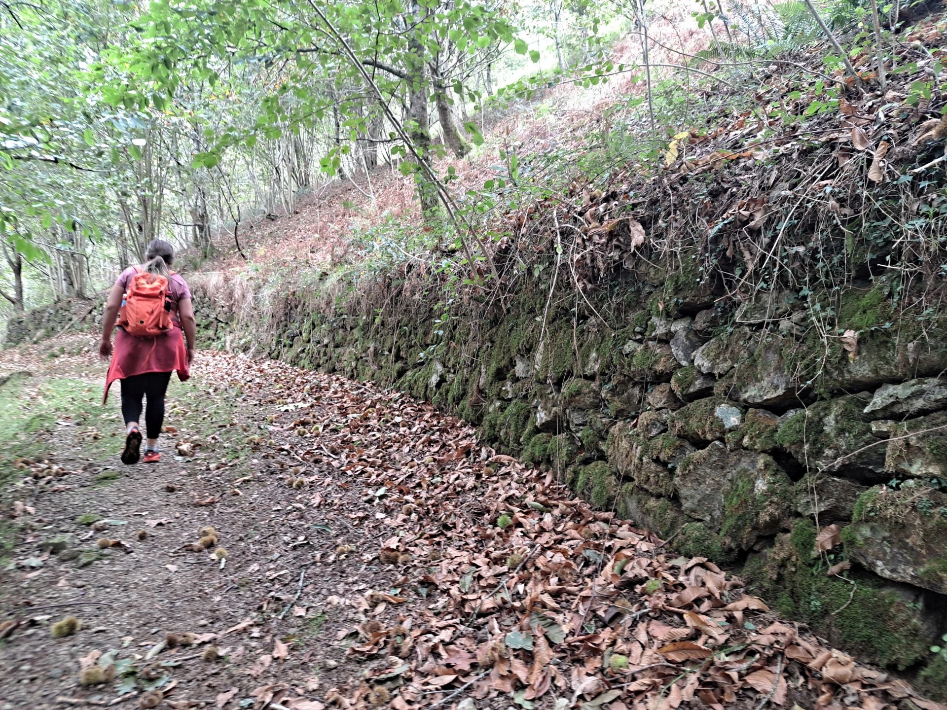 Las mejores imágenes de la ruta a Agiña