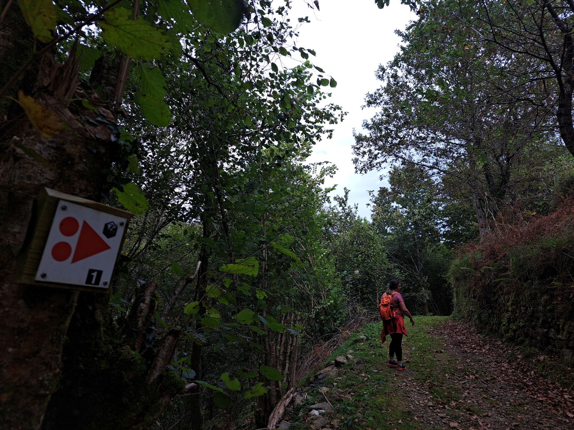 Las mejores imágenes de la ruta a Agiña