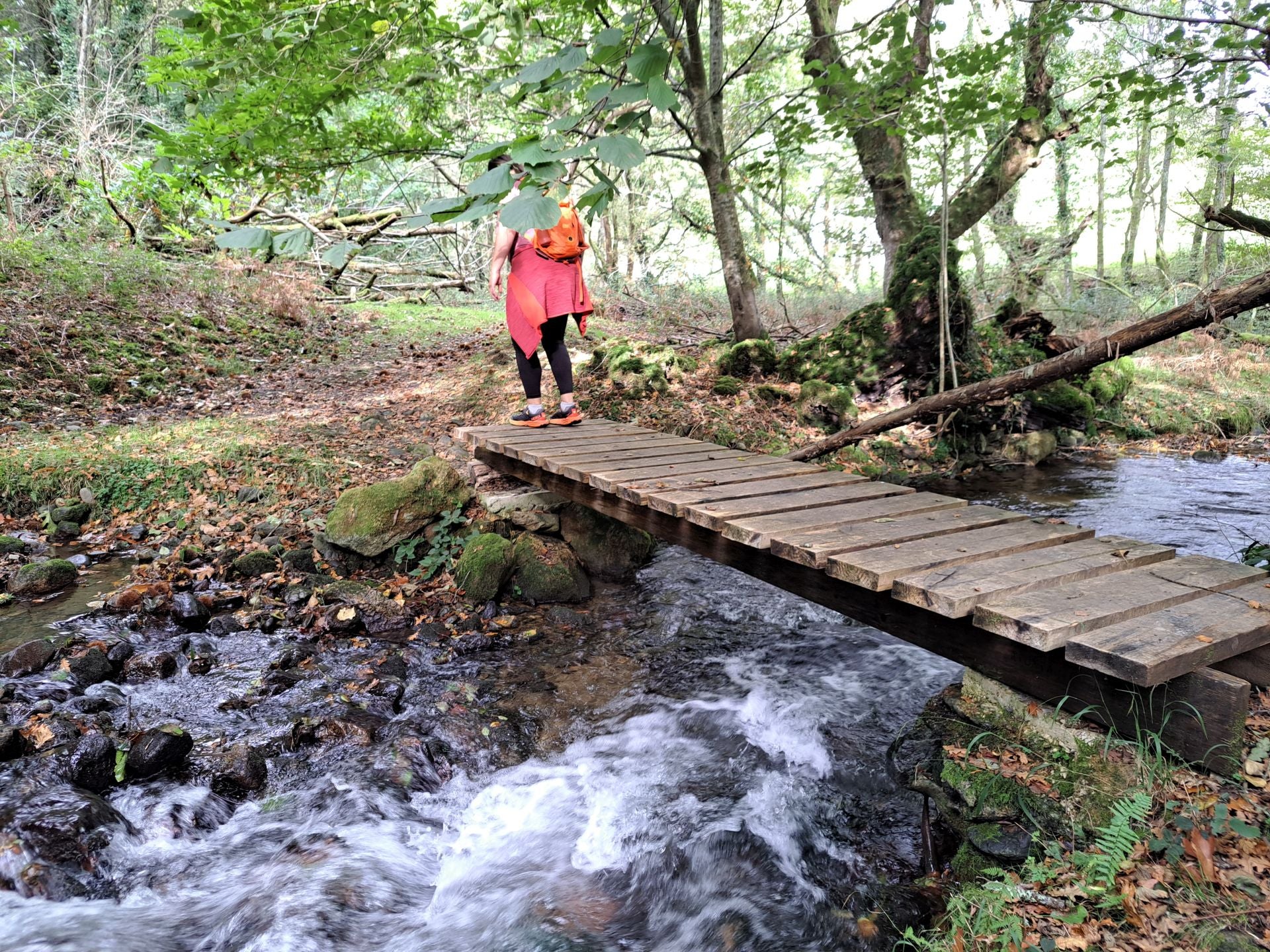 Las mejores imágenes de la ruta a Agiña
