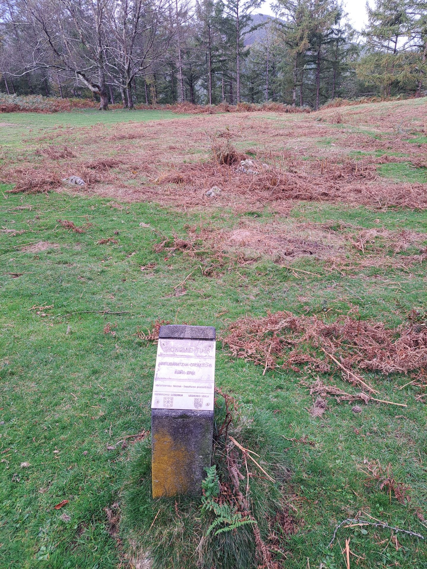 Las mejores imágenes de la ruta a Agiña