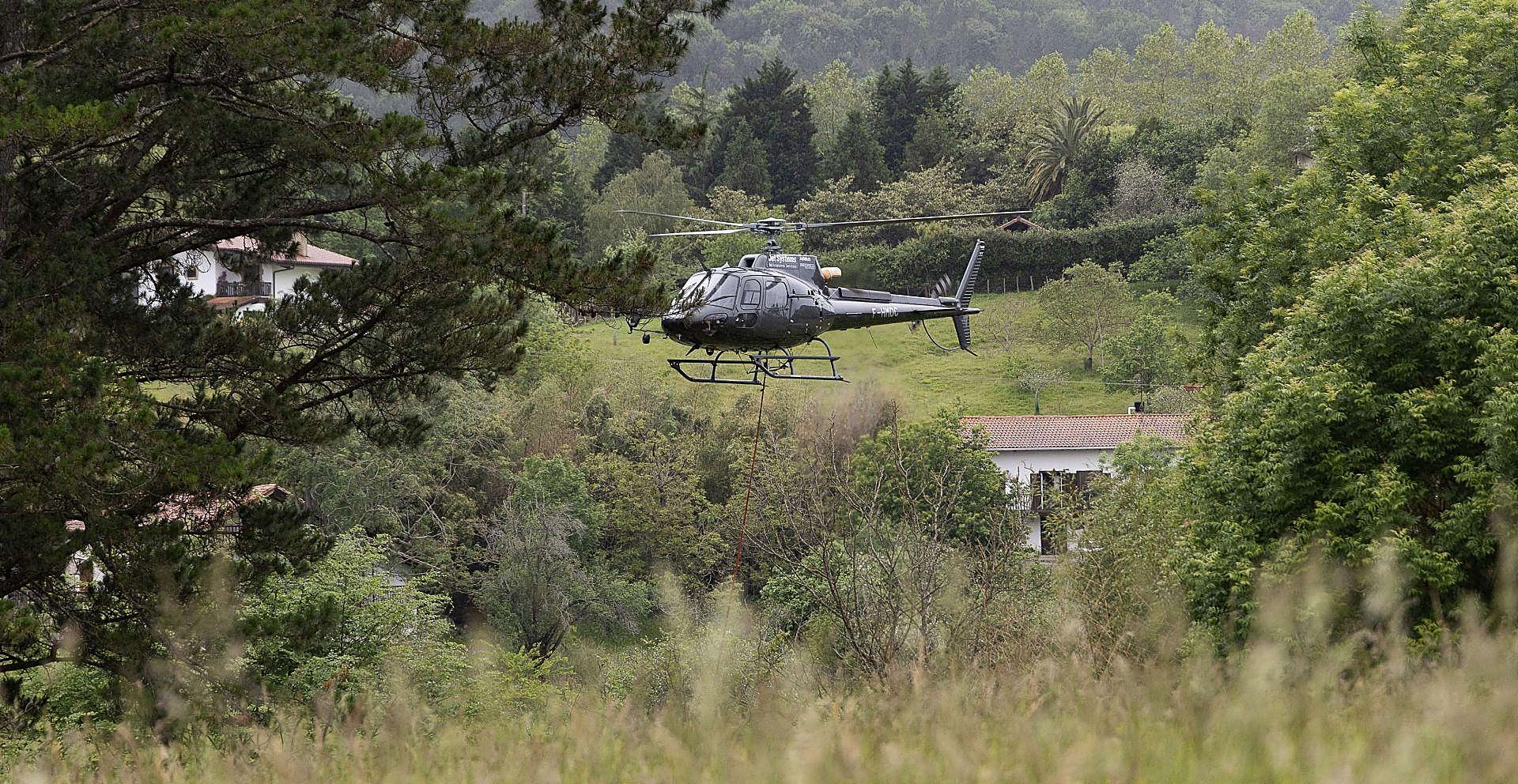 La poda de altura con helicóptero, en imágenes